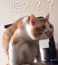 赌博网址大全