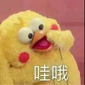 赌博网址大全