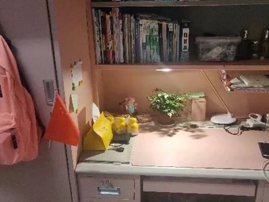 赌博网址大全